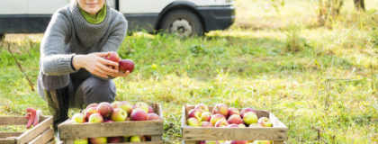 safety tips for fall businesses