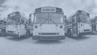 Buses (Admitted)