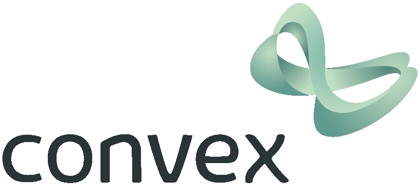 Convex Insurance