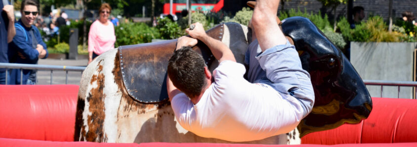 mechanical bull insurance